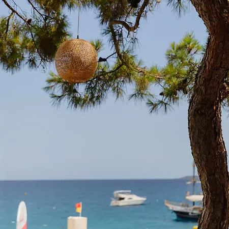 Fun & Sun Club Saphire 5* Tekirova