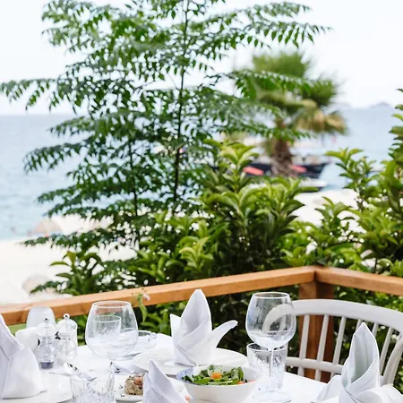 Fun & Sun Club Saphire